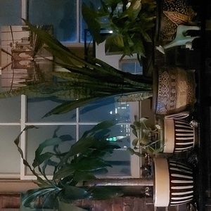 Meet your Posher, Timothy